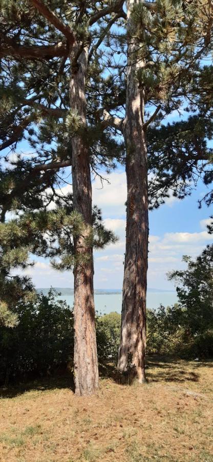 Rita apartman Siofok Bagian luar foto